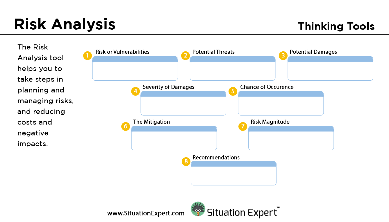 Situation Expert Risk Analysis